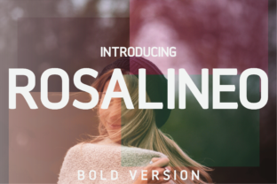 Enhance Your Brand with Rosalineo Bold Font