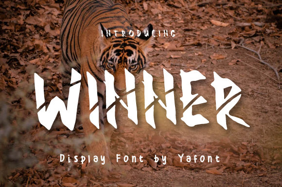 Make Your Creations Stand Out with Winner Font