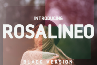 Rosalineo Black: A Versatile Sans Serif for Modern Web Design