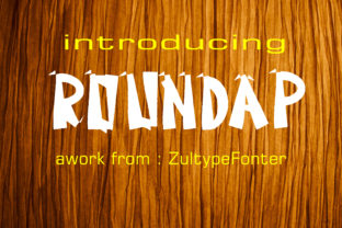 Roundap: A Playful Display Font for Crafters and Creators